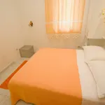 Delfin Tučepi