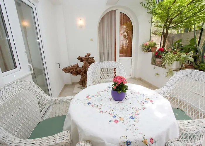 Delfin Apartamento *